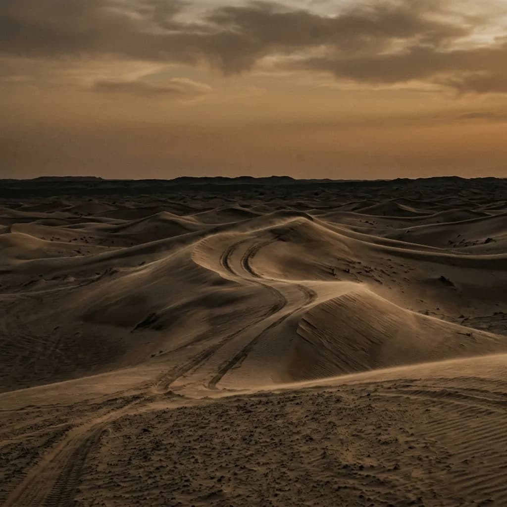 Dubai Desert & City Marvel